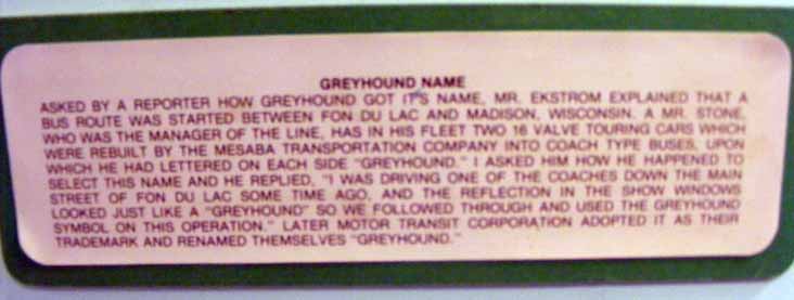 How Greyhound got its name